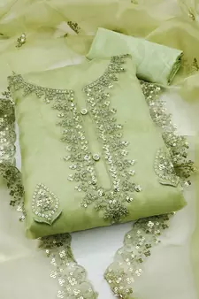 Green embroidered organza salwar