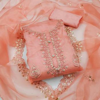 Peach embroidered organza salwar 1