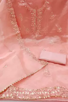 Peach embroidered organza salwar