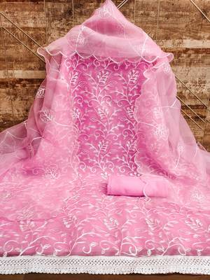 Baby-pink embroidered organza salwar 3
