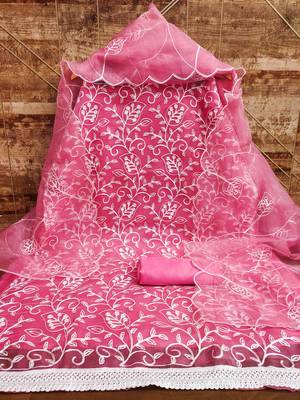 Pink embroidered organza salwar 3
