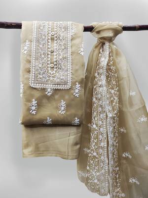 Beige embroidered organza salwar 1