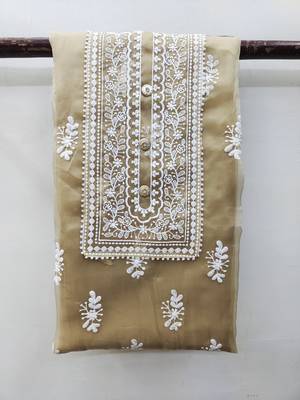 Beige embroidered organza salwar 2