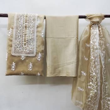 Beige embroidered organza salwar 3