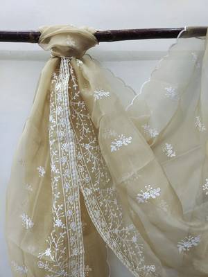 Beige embroidered organza salwar 4