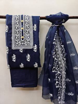 Blue embroidered organza salwar 1
