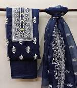 Blue embroidered organza salwar