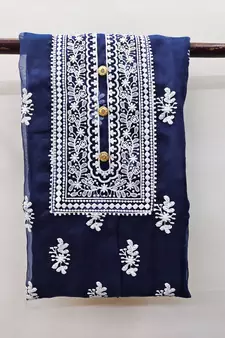 Blue embroidered organza salwar
