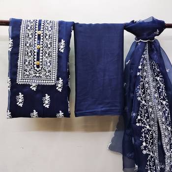 Blue embroidered organza salwar 3