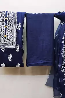 Blue embroidered organza salwar