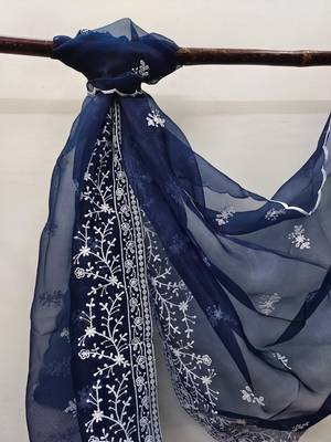 Blue embroidered organza salwar 4