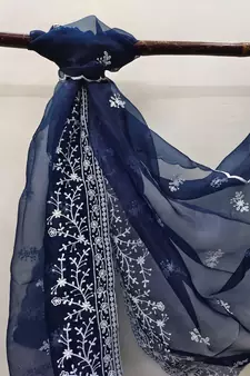Blue embroidered organza salwar