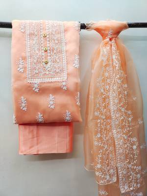 Peach embroidered organza salwar 1