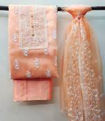 Peach embroidered organza salwar