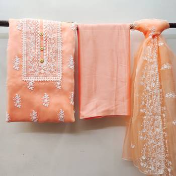 Peach embroidered organza salwar 3