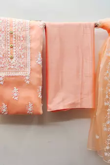 Peach embroidered organza salwar