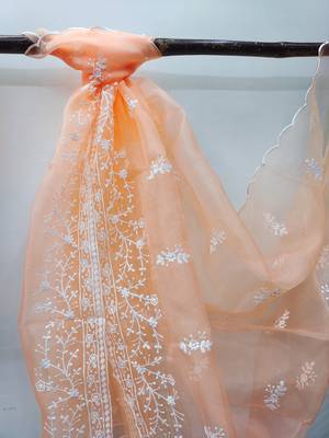 Peach embroidered organza salwar 4