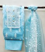 Sky-blue embroidered organza salwar