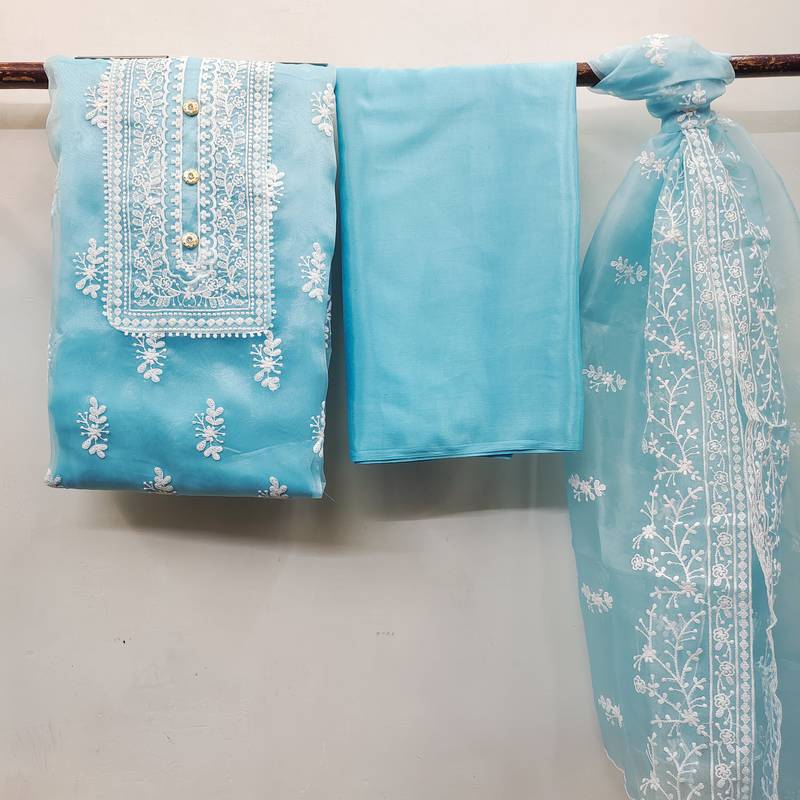 Sky-blue embroidered organza salwar