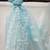 Sky-blue embroidered organza salwar