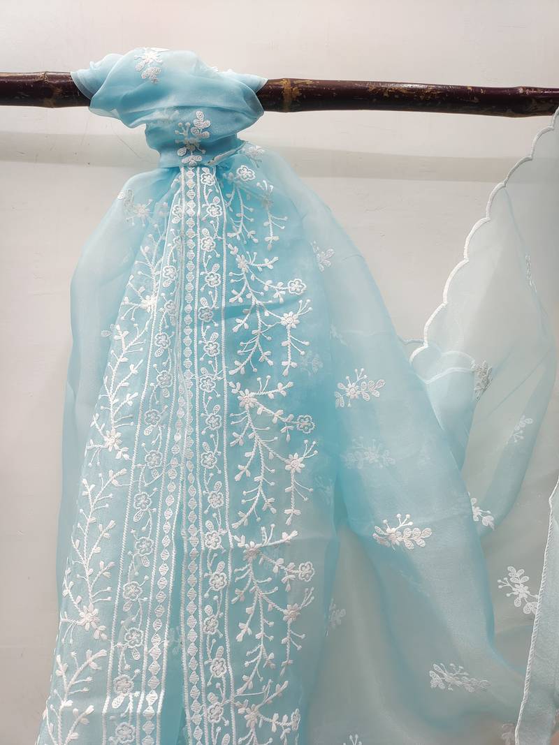 Sky-blue embroidered organza salwar