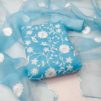 Sky-blue embroidered organza salwar 1
