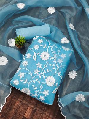 Sky-blue embroidered organza salwar 2