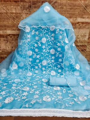 Sky-blue embroidered organza salwar 3