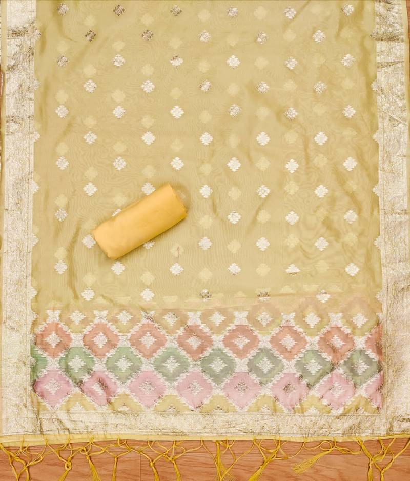 Women Designer Organza suit