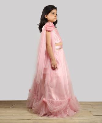 Old Rose Ghagra Choli With Embellishment On Upper Chest 5
