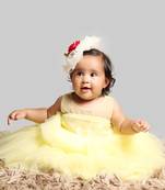 Yellow Gown With Organza Chest And Net Layer Ghera