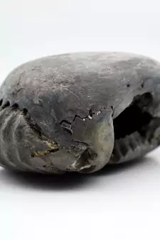 Nepal Gandaki River Original Shaligram Shila Idol Shri Vishnu For Tulsi Puja Stone Fossil In Size (Max: 7 CM) ID-193