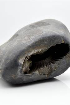 Nepal Gandaki River Original Shaligram Shila Idol Shri Vishnu For Tulsi Puja Stone Fossil In Size (Max: 7 CM) ID-195