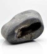 Nepal Gandaki River Original Shaligram Shila Idol Shri Vishnu For Tulsi Puja Stone Fossil In Size (Max: 7 CM) ID-195