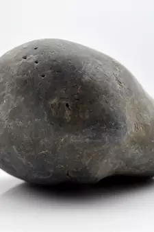 Nepal Gandaki River Original Shaligram Shila Idol Shri Vishnu For Tulsi Puja Stone Fossil In Size (Max: 7 CM) ID-195