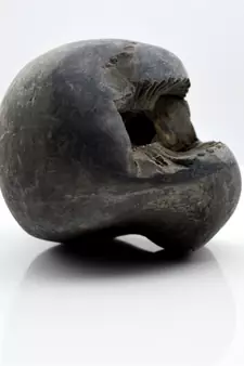 Nepal Gandaki River Original Shaligram Shila Idol Shri Vishnu For Tulsi Puja Stone Fossil In Size (Max: 7 CM) ID-196