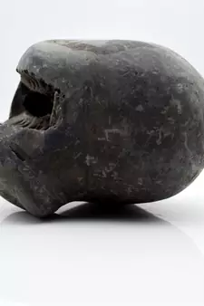 Nepal Gandaki River Original Shaligram Shila Idol Shri Vishnu For Tulsi Puja Stone Fossil In Size (Max: 7 CM) ID-196