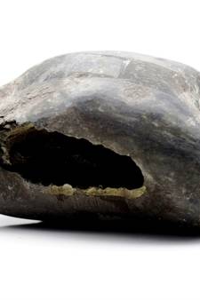 Nepal Gandaki River Original Shaligram Shila Idol Shri Vishnu For Tulsi Puja Stone Fossil In Size (Max: 7 CM) ID-197