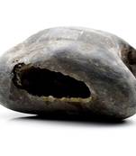 Nepal Gandaki River Original Shaligram Shila Idol Shri Vishnu For Tulsi Puja Stone Fossil In Size (Max: 7 CM) ID-197