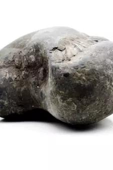 Nepal Gandaki River Original Shaligram Shila Idol Shri Vishnu For Tulsi Puja Stone Fossil In Size (Max: 7 CM) ID-197