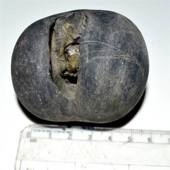 Nepal Gandaki River Original Shaligram Shila Idol Shri Vishnu For Tulsi Puja Stone Fossil In Size (Max: 7 CM) ID-203 4