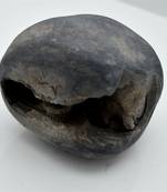 Nepal Gandaki River Original Shaligram Shila Idol Shri Vishnu For Tulsi Puja Stone Fossil In Size (Max: 7 CM) ID-206