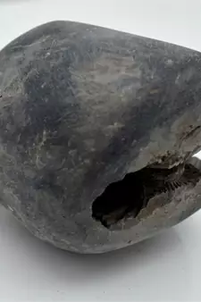 Nepal Gandaki River Original Shaligram Shila Idol Shri Vishnu For Tulsi Puja Stone Fossil In Size (Max: 7 CM) ID-206