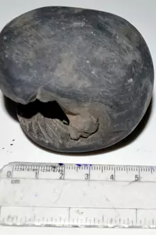Nepal Gandaki River Original Shaligram Shila Idol Shri Vishnu For Tulsi Puja Stone Fossil In Size (Max: 7 CM) ID-206