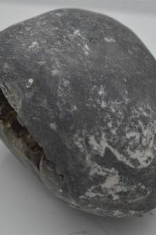Nepal Gandaki River Original Shaligram Shila Idol Shri Vishnu For Tulsi Puja Stone Fossil In Size (Max: 7 CM) ID-210