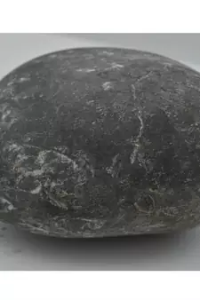 Nepal Gandaki River Original Shaligram Shila Idol Shri Vishnu For Tulsi Puja Stone Fossil In Size (Max: 7 CM) ID-210