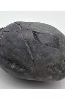 Nepal Gandaki River Original Shaligram Shila Idol Shri Vishnu For Tulsi Puja Stone Fossil In Size (Max: 7 CM) ID-216