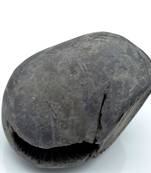 Nepal Gandaki River Original Shaligram Shila Idol Shri Vishnu For Tulsi Puja Stone Fossil In Size (Max: 7 CM) ID-221