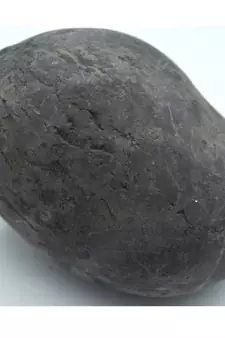 Nepal Gandaki River Original Shaligram Shila Idol Shri Vishnu For Tulsi Puja Stone Fossil In Size (Max: 7 CM) ID-221