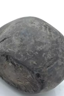 Nepal Gandaki River Original Shaligram Shila Idol Shri Vishnu For Tulsi Puja Stone Fossil In Size (Max: 7 CM) ID-221